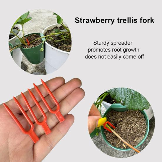Strawberry Propagation Cups Ventilated Strawberry Plant Starter Cups with And Runner Forks Propagation Containers for Promoting Healthy Growth