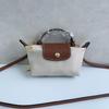 Mini Bags for Women Luxury Handbags Designer Women Messegner Crossbody Shoulder Bag Female Casual Tote Top-handle Bag 1393-2