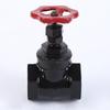Z15T Threaded Cast Iron Gate Valve