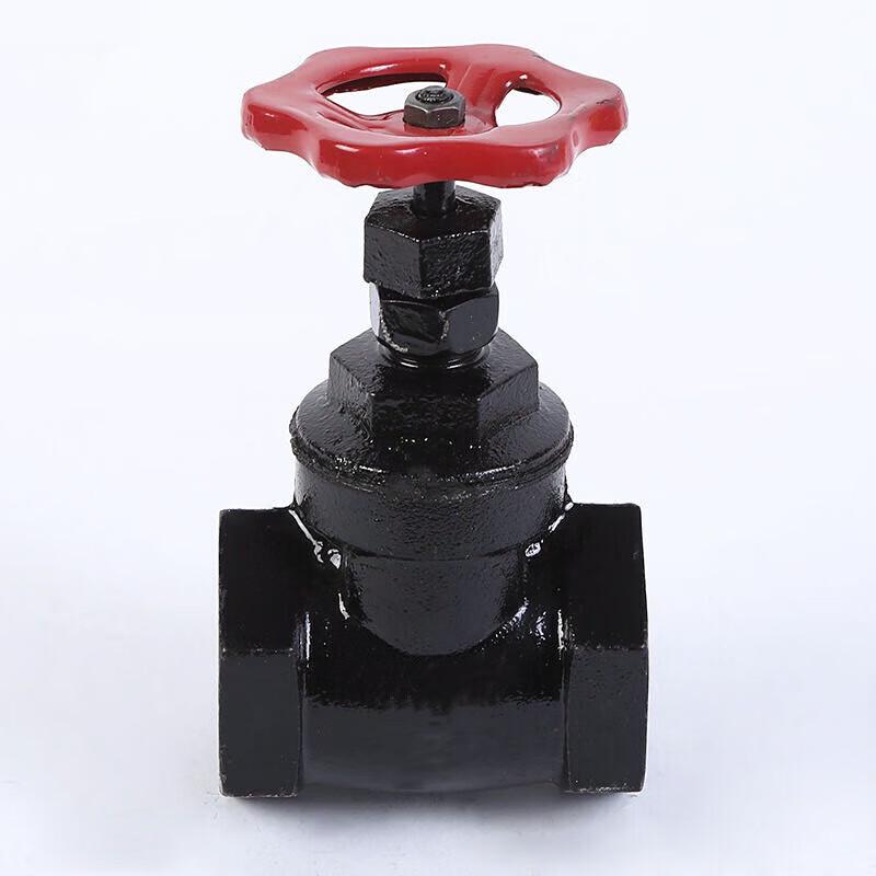 Z15T Threaded Cast Iron Gate Valve