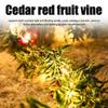 Christmas String Lights with Red Berry Xmas Cedar Garland Fairy String Lights Indoor Outdoor Xmas Fireplace Home Winter Decor