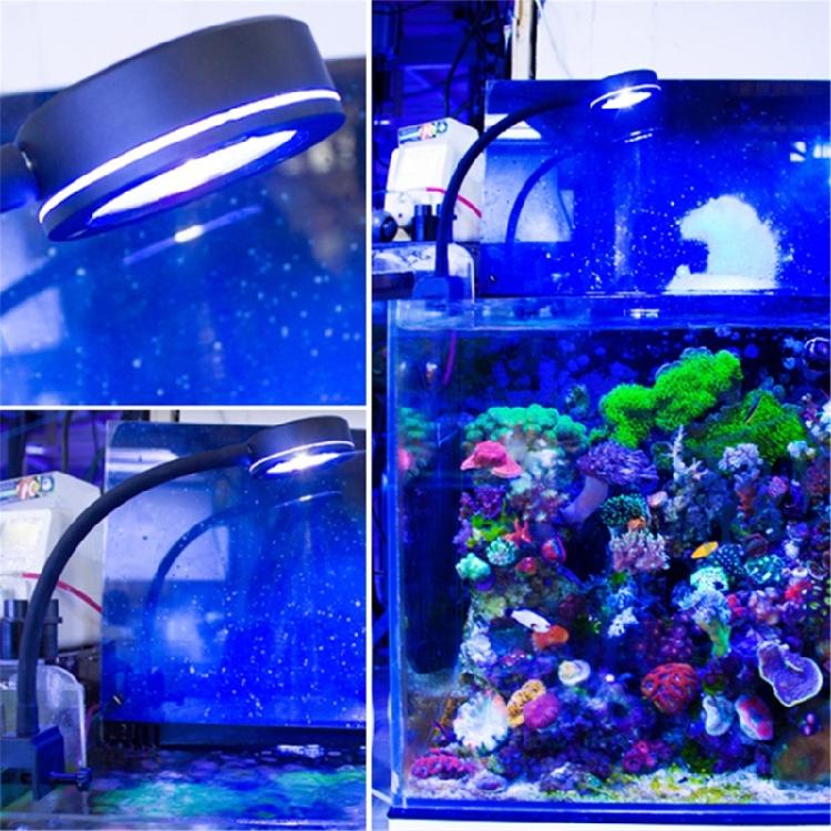 Aquarium Light Lamps 12W with Adjustable Hose- Aquarium Lighting Marine Fish