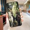 Outlander Phone Case For iPhone 17 Air 16 15 13 11 12 14 Pro Max mini 15 16 Plus 16e Protective Cover