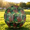 Size 5 Football The Gruffalo Pattern, Wear‑Resistant Soccer Ball for Match Training Daily Sports Play