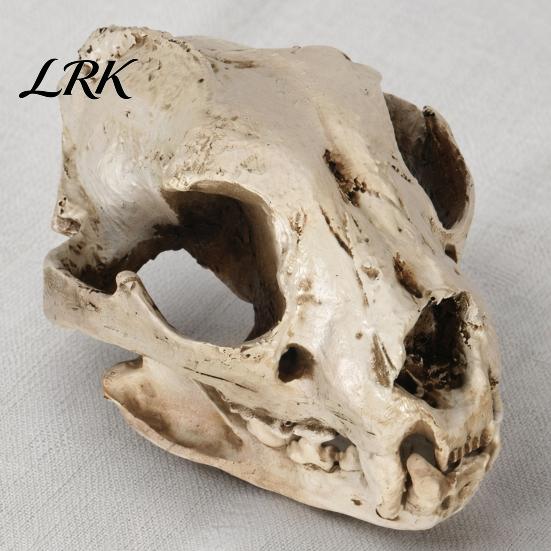Resin Halloween Skull Figure Dog Ornament, Distressed Decoration, Lifelike Decoration For Parties for Desktop Fish Tank Film Props Collectible