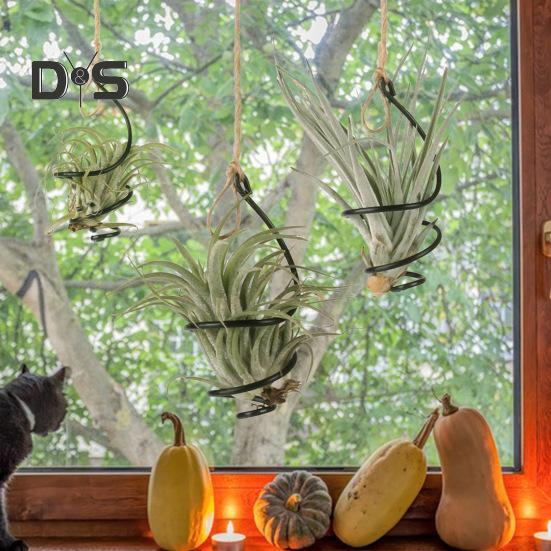 6 piezas de soporte para plantas de aire, contenedor de Tillandsia colgante de metal, soporte ajustable para plantas de aire en forma de remolino para decoración del hogar, la oficina, el balcón y el jardín