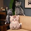 Plüsch Lebensechte Tiere Kissen Spielzeug Gefülltes Kissen Kissen für Sofa Kawaii Heimdekoration Spielzeug für Mädchen Katzen Hunde Kissen Echtes Spielzeug
