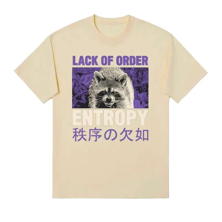90s Retro Entropy Raccoon Funny Meme Tshirt Lack OF Order Men Women Fashion T-shirt O-Neck Cartoon T Shirt Printed Tees Top