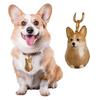 1/3Pcs Waterproof Dog Hair Collector Keychain Transparent Bottle-Shaped Shell Pet Memorial Bag Keychain