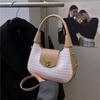 Spring New French Texture Shoulder Messenger Women's Bag Fashionable Portable Women's Hand Bag Chain Messenger Bag