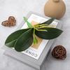 2 Pcs Orchid Leaves Artificial Real Touch Faux Phalaenopsis Stems Leaf 8 Inches Green Leaf Plants Fake Cymbidium Flower Foliage Green Real Touch