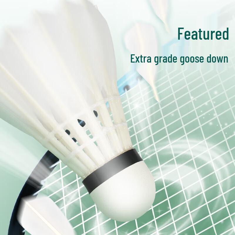 Double Fish Professional Goose Feather Badminton Shuttlecocks (12-Pack)
