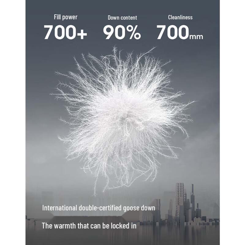 Bosideng Slim-Fit Hooded Down Jacket B250136704