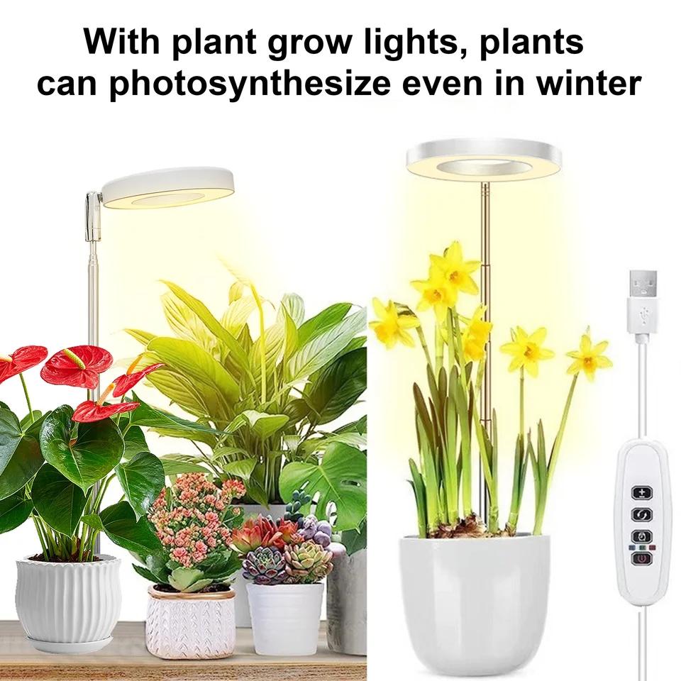 Full Spectrum LED Grow Light Adjustable Height Timer 4-Level Dimming USB Powered for Indoor Plants Perfect for Small Plant Care