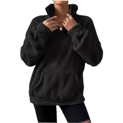 Autunno Inverno Nuovo Stile Europeo e Americano Felpa Casual da Donna con Collo Alto e Fodera in Pile Pelliccioso