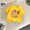 Children's Casual Short-sleeved T-shirt, Summer Boys' And Girls' Cute Capri Blouse