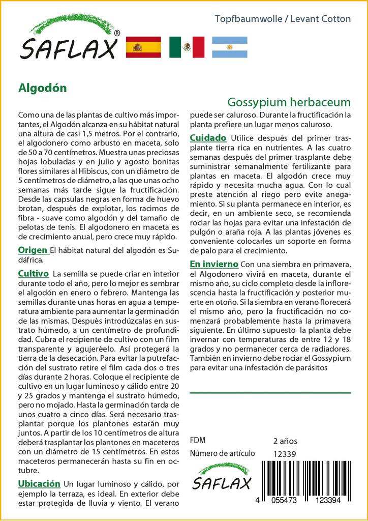 SAFLAX Levant Bavlna - 12 semen - Gossypium herbaceum