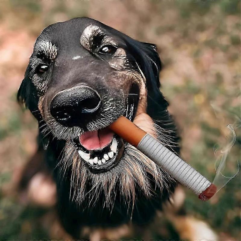 Quietschendes Zigarren-Hundespielzeug für interaktives Spielen und Kichern