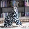Dog Clothing Dogs Accessories Greyhound Whippet Shiba Inu Puppy Clothes Winter Warm Dog Sweater Soft Pet Products Supplies