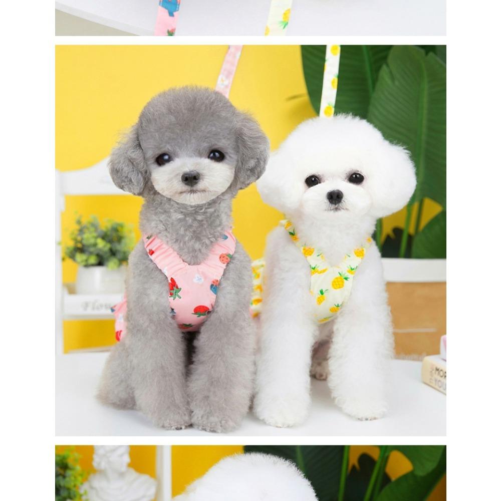 Pet Small Dog Dog Clothing Puppy with Leash Yorkshire Pomeranian Bear Teddy Skirt Spring Summer Thin