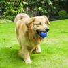 Dog Toys Bite Resistant Interactive Throwing Sound Honeycomb Balls Round Easy Rolling Toys Teeth Grinding Cleaning Pet Products