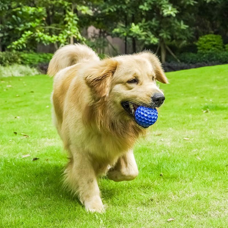 Dog Toys Bite Resistant Interactive Throwing Sound Honeycomb Balls Round Easy Rolling Toys Teeth Grinding Cleaning Pet Products