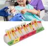 Dental Caries Model 6 Different Stages Resin Decayed Tooth Display Model