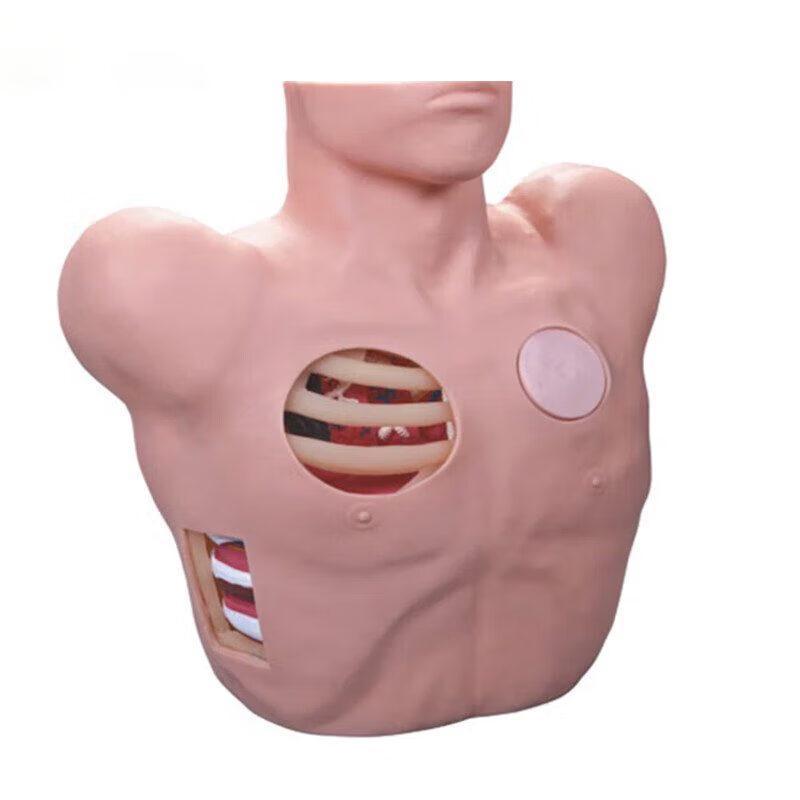 Thoracic Puncture and Drainage Training Simulator