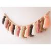 Nordic Hanging Tassel for Nursery Decor Bunting Birthday Party Decorations Carni
