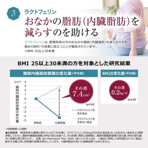 Nissin Foods Nice Slim Essence, Lactoferrin and Lactic Acid Bacteria PLUS, a Functional Food That Delivers Nutrients To the Intestines, Promotes Bowel
