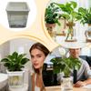 Hydroponic Flower Pot Automatic Water-Absorbing Flowerpot Transparent Double Layer Plastic Self Watering Planter Lazy Flower Pot