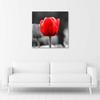 Canvas Print, Tulip Red Flower