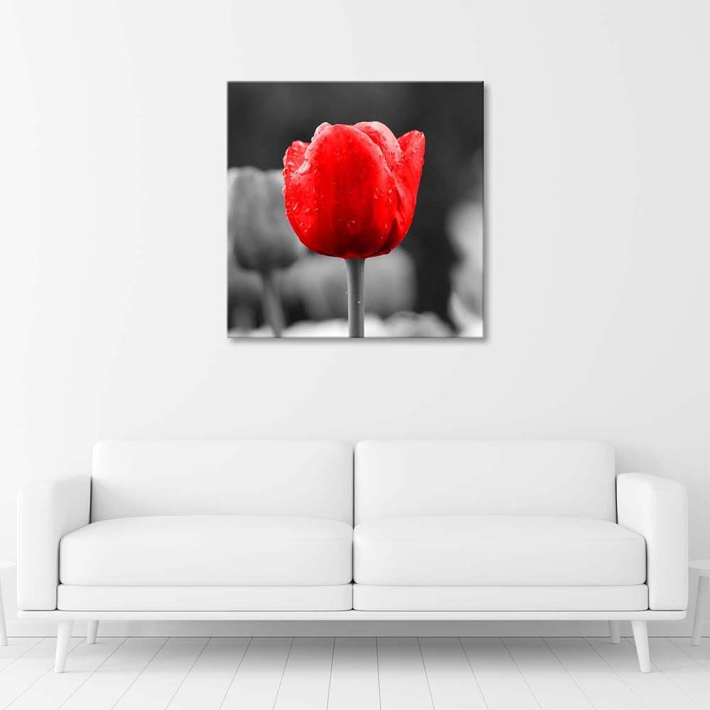 Canvas Print, Tulip Red Flower