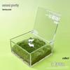 Easy-Grow Desktop Greenery: Simple Moss Micro-Landscape for Lazy Lawn Fun