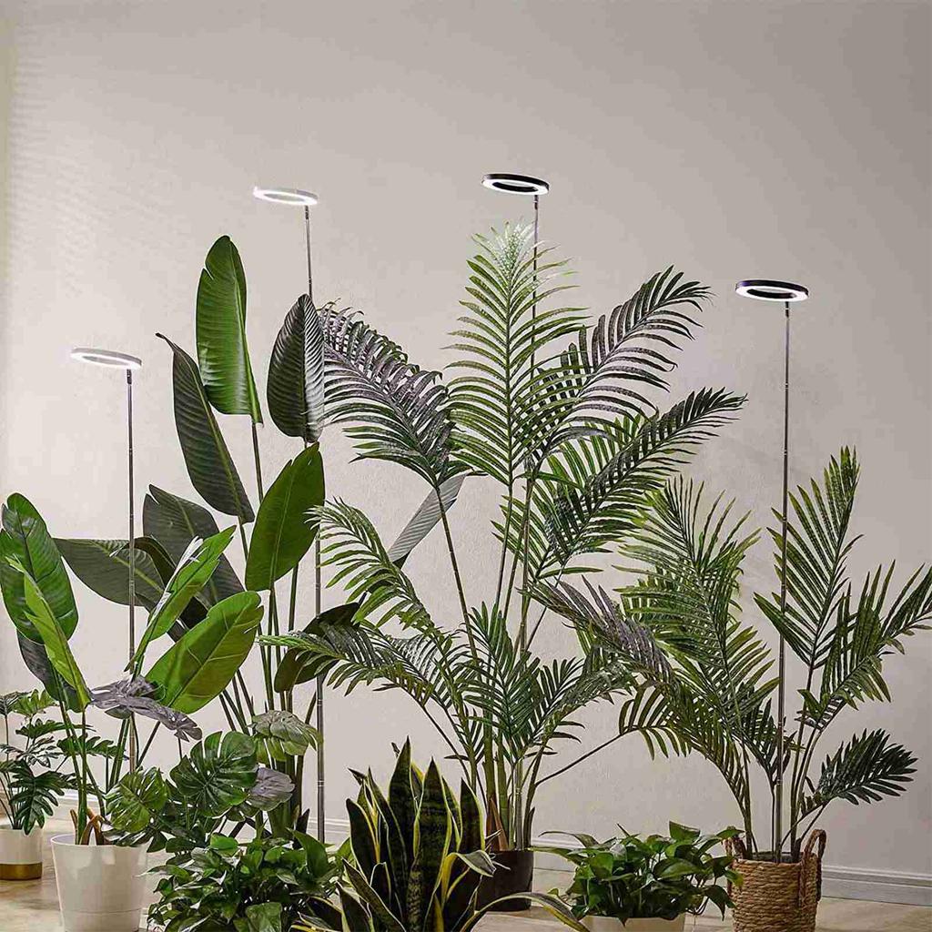 Plant Grow Light Floor Lamp Full Spectrum Sunlight Large Potted Plant Fill Light 3 9 12 Hours Timing 10 Levels Dimming
