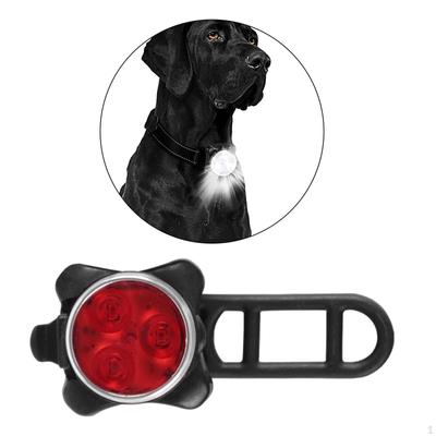 Köpek – Köpek Tasmaları ve Tasma Kayışları
