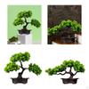 Künstlicher Bonsai-Baum Grüner Übertopf Kleine Pflanzen Deko Pflanze Indoor für Tisch
