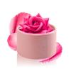 Maquilhagem para rosto – Blush