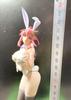 [USED] Mobile Suit Gundam SEED Lacus Clyne Bunny Ver.