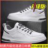 Men's shoes summer versatile trend casual niche black and white board shoes men's youth sports thick sole heightening small white tide shoes