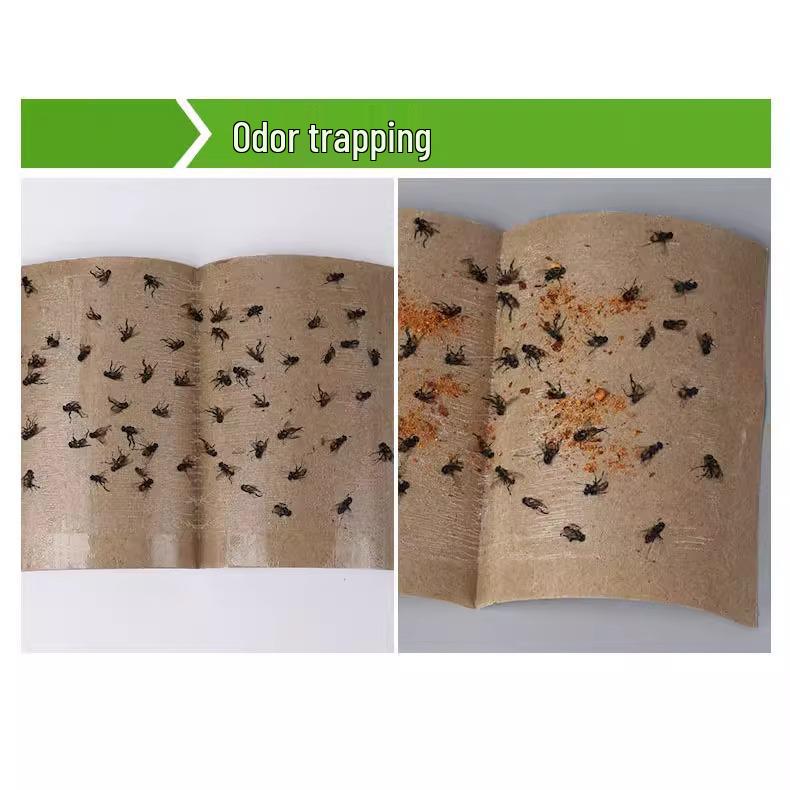 Newcomer Special: 30 Powerful Fly Papers for Kitchens & Restaurants