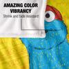 Sesame Street On The Streets Silky Cookie Monster Supersoft Blanket