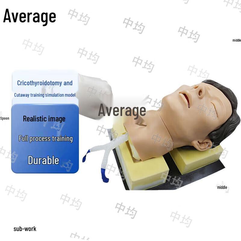 Cricothyrotomy & Advanced Airway Management Simulation Model