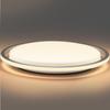 Xiaomi Smart Ceiling Light Pro (CN Version)