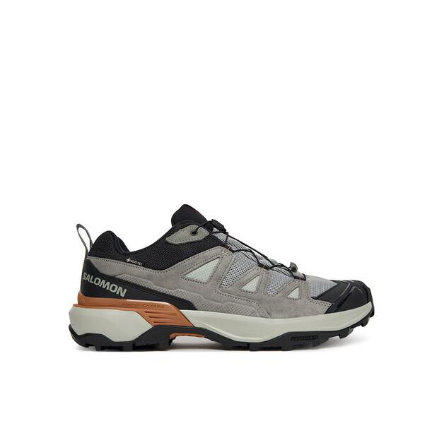 Треккинговые ботинки Salomon X Ultra 360 Leather Gore-Tex EU 44