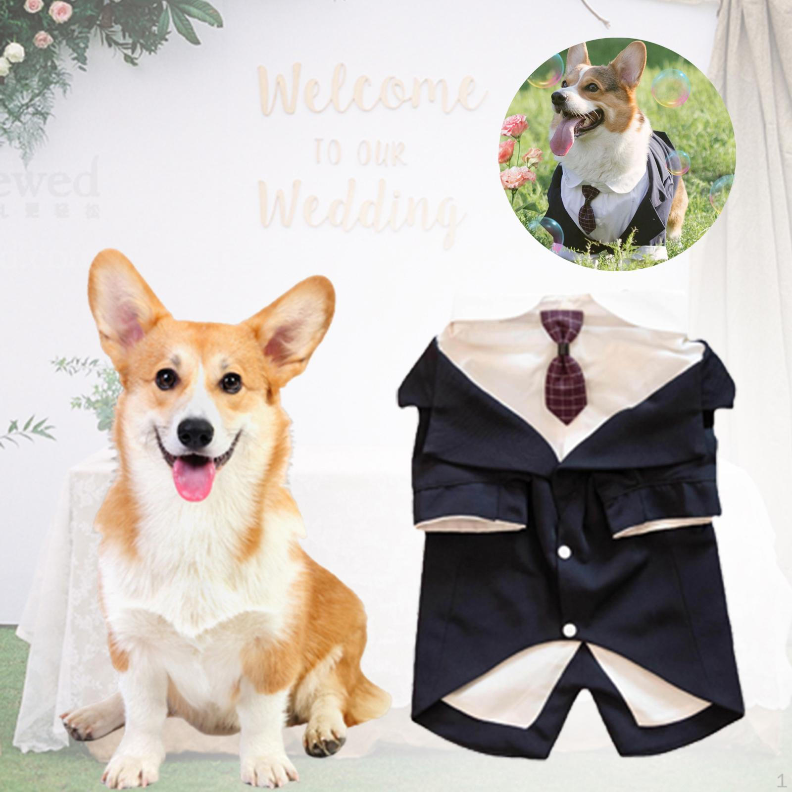 

Costumes Elegant Wedding Attire Formal Dog Suit And Bandana Set Puppy Halloween Costume Fancy Dress 5XL