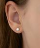 Tatiana (Silver 925) Mini Shell Earrings Ec3252