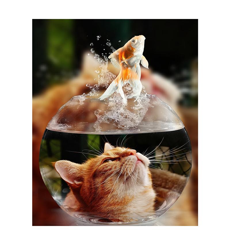 5D Diy Diamond Embroidery Animal Full Round Diamond Painting Cat Diamond Mosaic Cross Stitch Handmade Gift