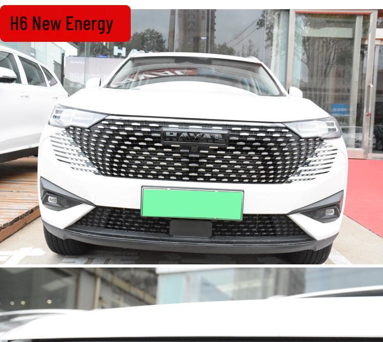 Haval 2. Gen Big Dog PHEV H6 Kohlefaser-Emblemabdeckungen (Vorne hinten)