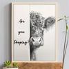Poster Artistico su Tela con una Mucca delle Highlands Divertente che Dice 'Stai C@g@ndo?'' Decorazione da Parete senza Cornice di Animali da Fattoria,